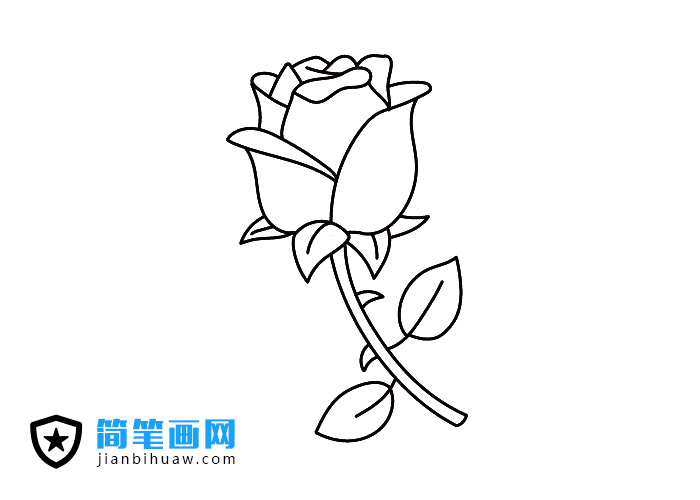 Ưõ廨PDƬɫ