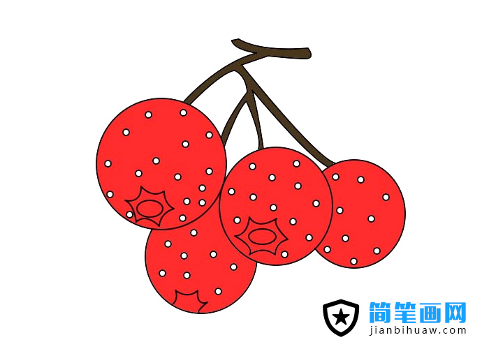 ɽ髺(jin)P(hu)DƬɫ