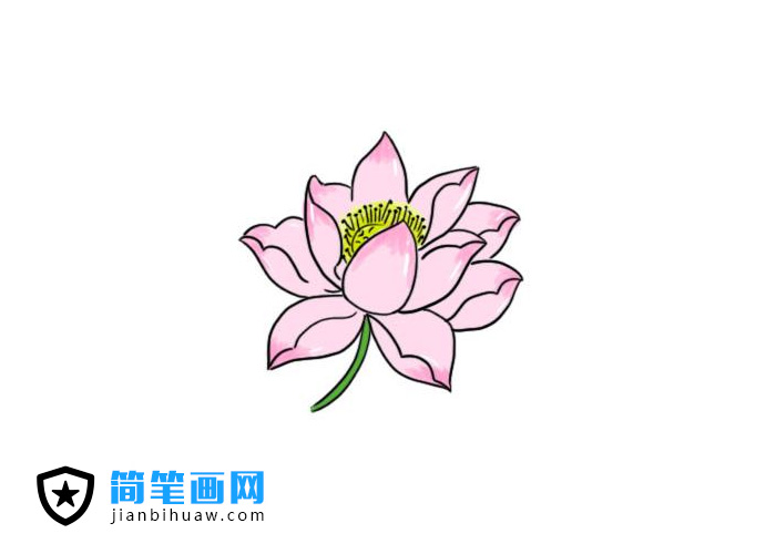 (jin)ֺÿĺɻ(jin)P(hu)DƬ