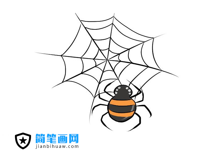 簡單好畫的蜘蛛網(wǎng)蜘蛛簡筆畫圖片