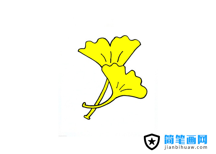 銀杏葉子簡(jiǎn)筆畫圖片